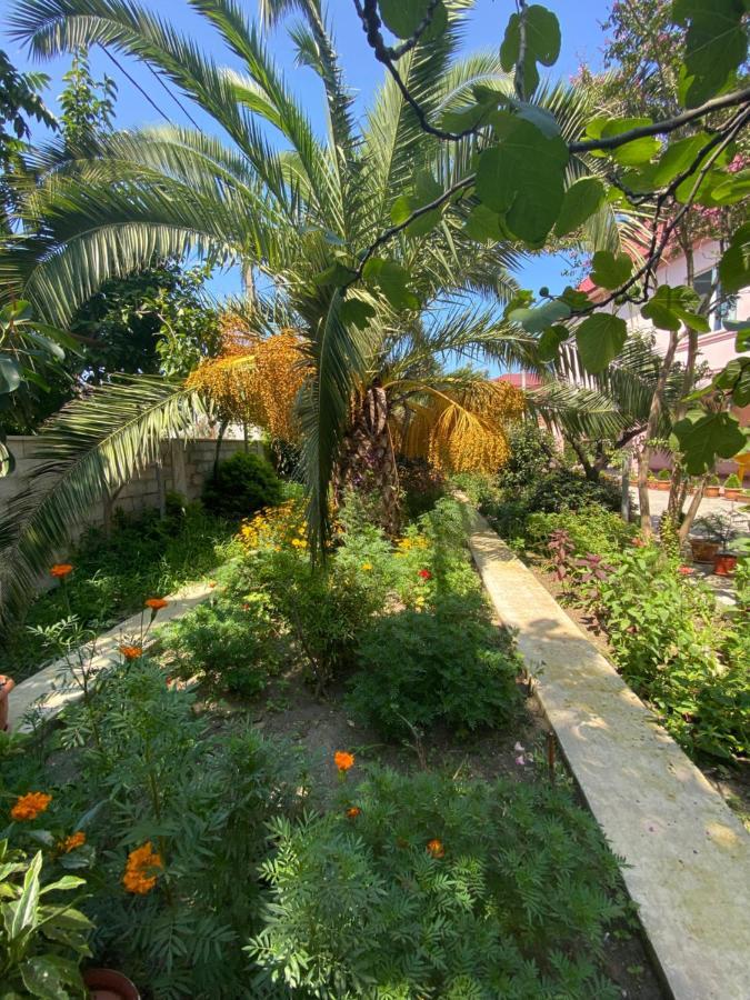 Villa Jakos Paradise Batumi Kültér fotó