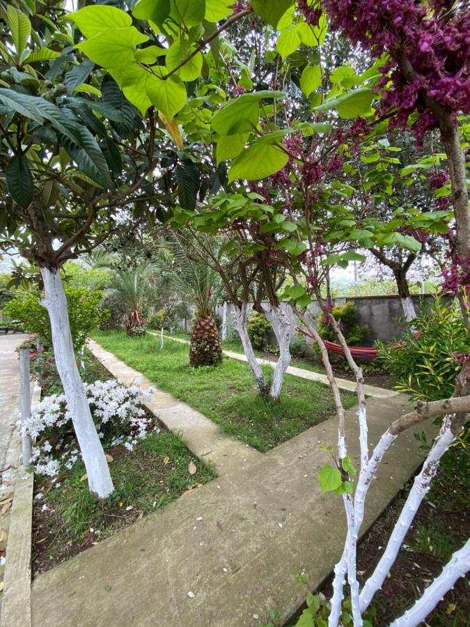 Villa Jakos Paradise Batumi Kültér fotó